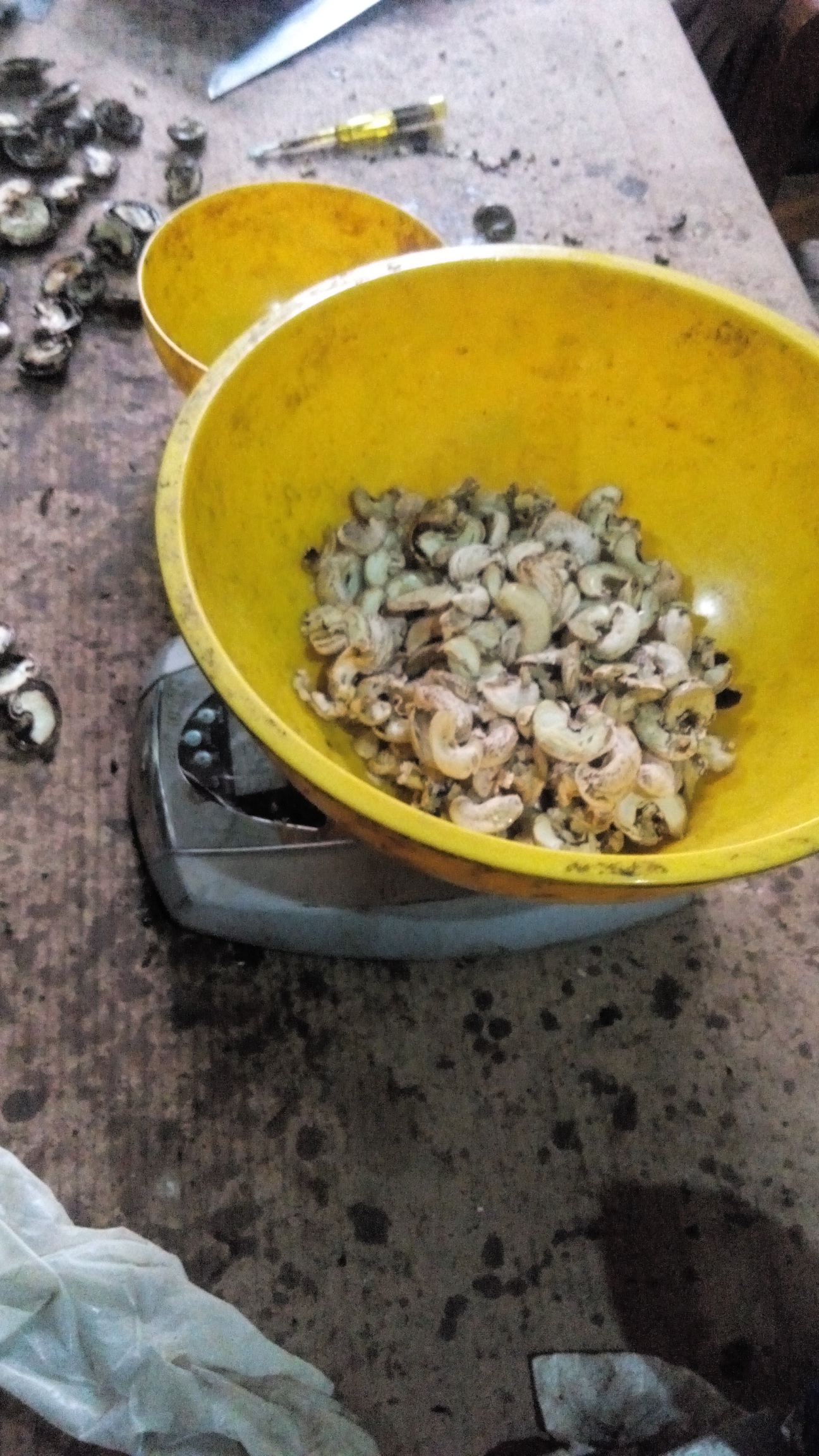 Good cashew nuts during quality test